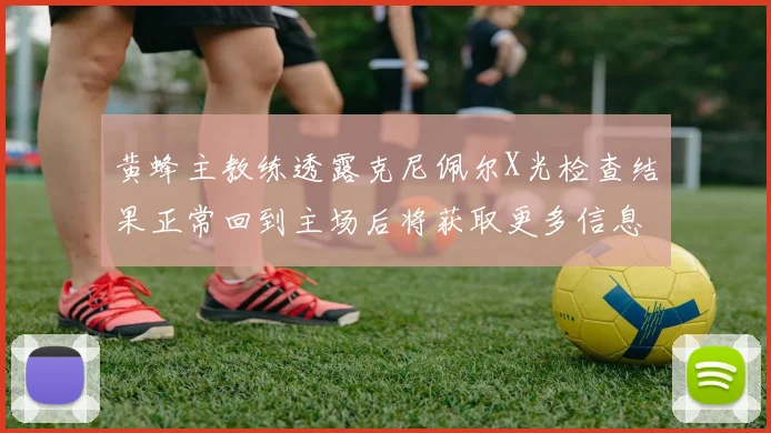 黄蜂主教练透露克尼佩尔X光检查结果正常回到主场后将获取更多信息