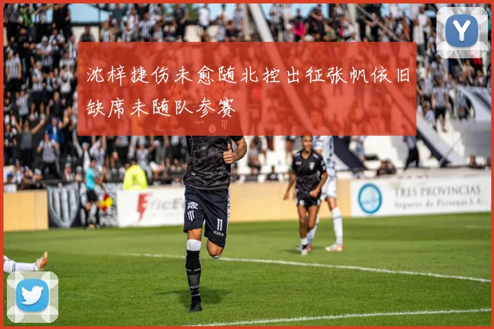 沈梓捷伤未愈随北控出征张帆依旧缺席未随队参赛
