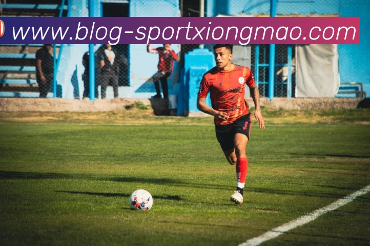 熊猫体育平台生态图